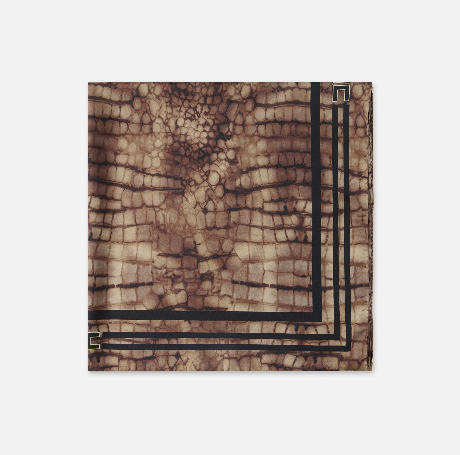 FO24L61E2_644_1_D