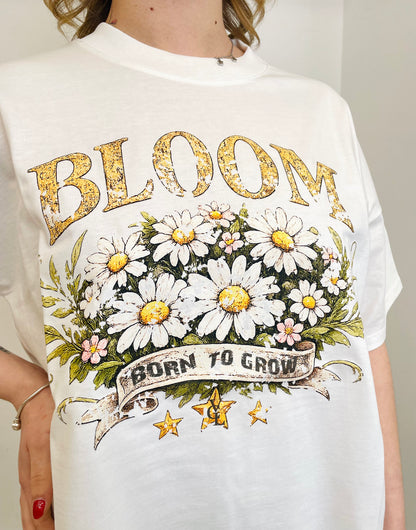 IMG_8550